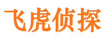 谷城市私家侦探